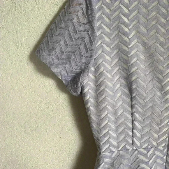 Elliatt Evoke Tulip Chevron Herringbone Lace Lilac Structured Mini Dress S - Picture 12 of 14